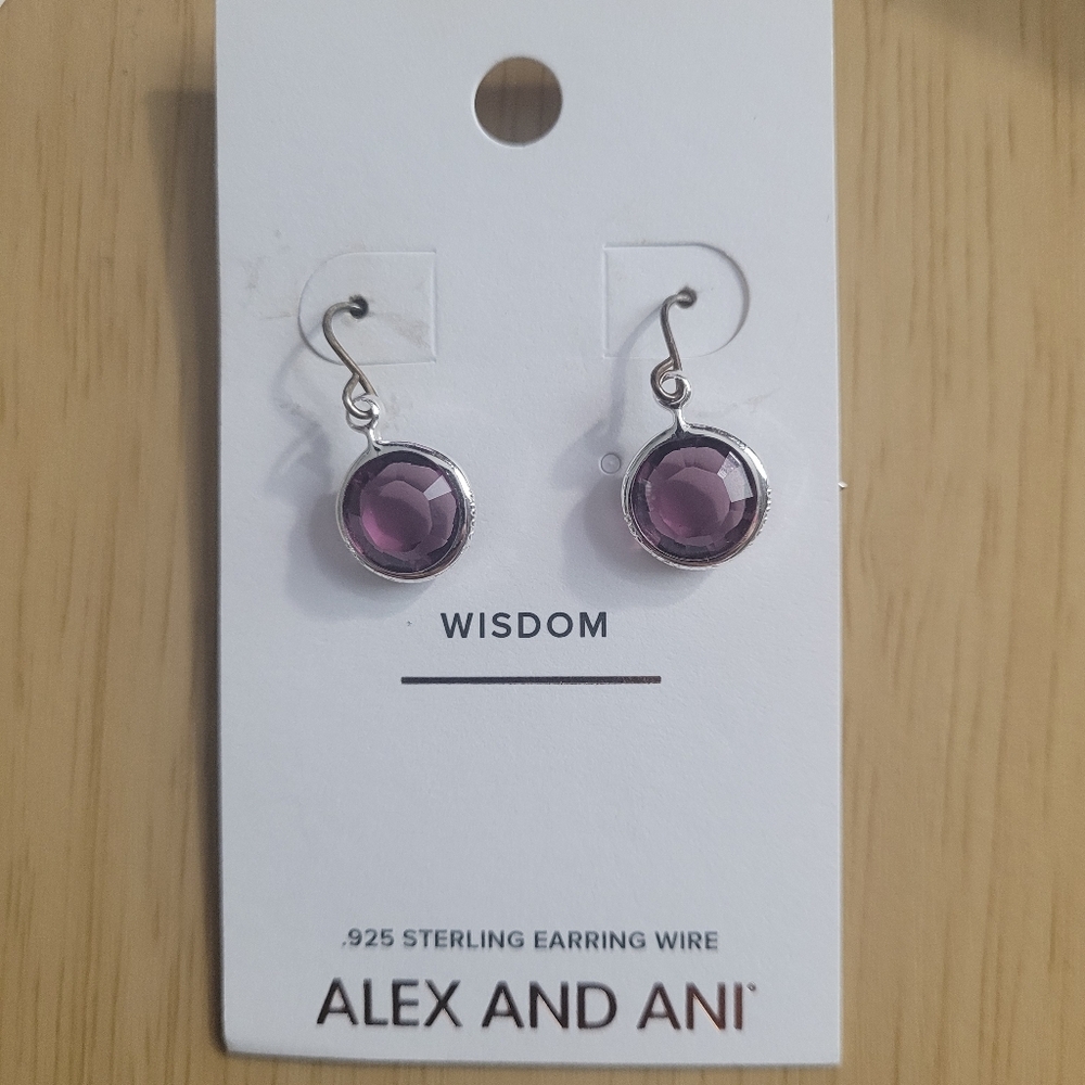 Alex and Ani Earring